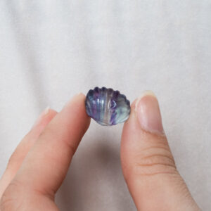Conchas Fluorita